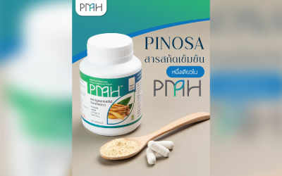 PINOSA สารสกัดหนึ่งเดียวในแคปซูลสารสกัดกระชายขาว PMH