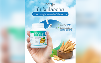 อาหารเสริมยอดฮิตช่วงนี้ คงหนีไม่พ้นกระชายขาว แต่จะเลือกทานทั้งที ก็ต้องเลือกสิ่งดีที่สุดให้ร่างกาย